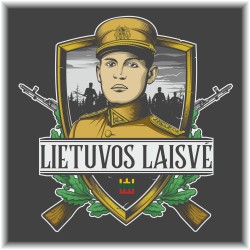 Džemperis vyrams Lietuvos laisvė