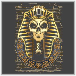 Džemperis vyrams Gediminaičių faraonas